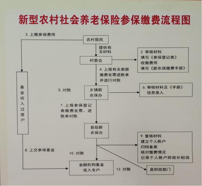 鹤岗农村医保和社保有什么区别(农村医保跟社保的区别)